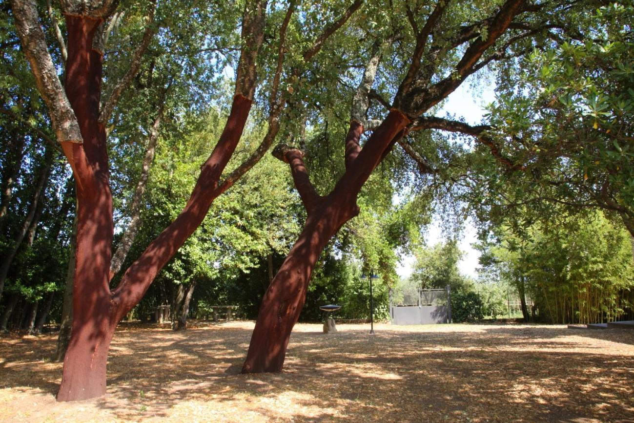 Agriturismo Casale Zuccari Caprarola Eksteriør billede