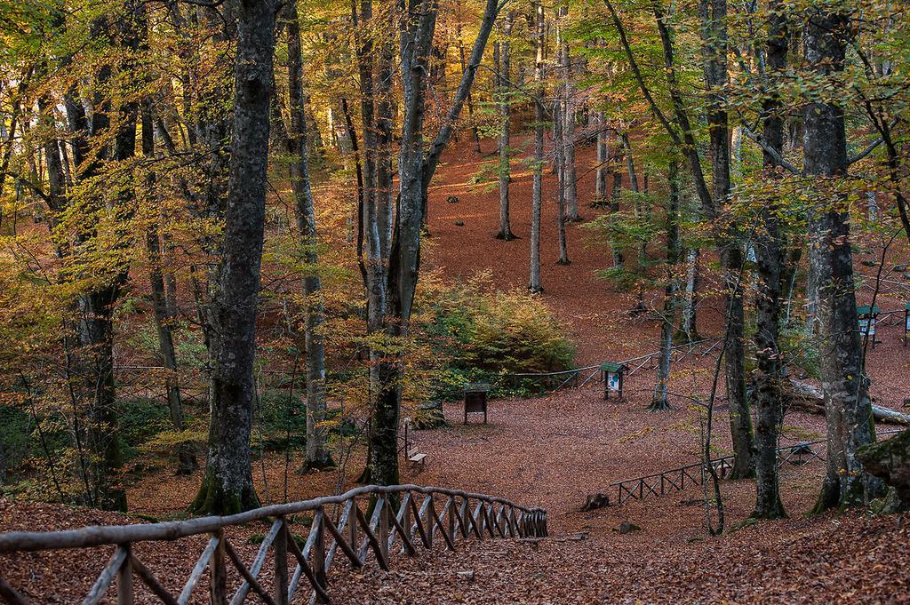 Agriturismo Casale Zuccari Caprarola Eksteriør billede